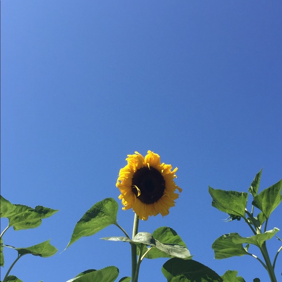 Meet your Posher, Jennifer - Picture 1 of 1